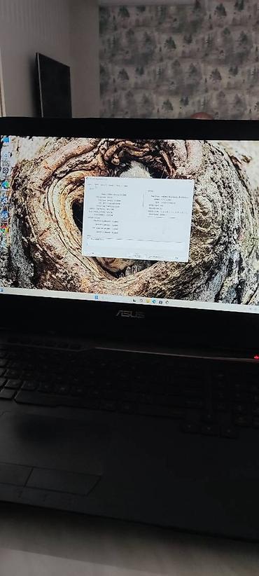 ASUS: İşlənmiş ASUS ROG, 17.3 ", Intel Core i7, 256 GB — 9