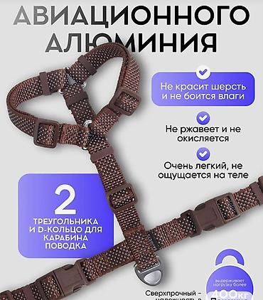 чихуаху: Шлейка для собак с фурнитурой из авиационного алюминия(покупали для — 1