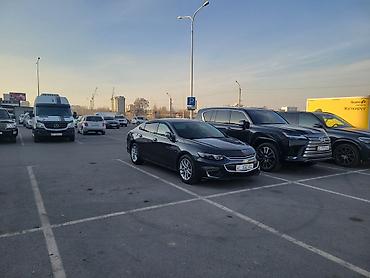 Chevrolet: Chevrolet Malibu: 2017 г., 1.5 л, Автомат, Бензин, Седан — 2