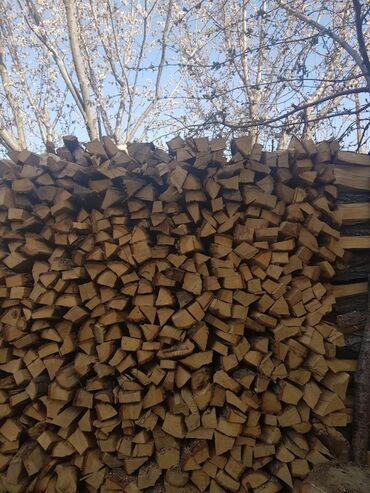 дрова в бишкеке: Дрова Самовывоз, Платная доставка