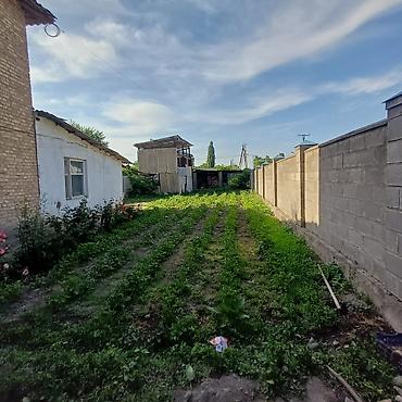 Продажа коттеджей и домов: 5 комнат, 94 м², 5 соток, Манас, Собственник at lalafo.kg — 22 Продажа коттеджей и домов: 5 комнат, 94 м², 5 соток, Манас, Собственник — 22