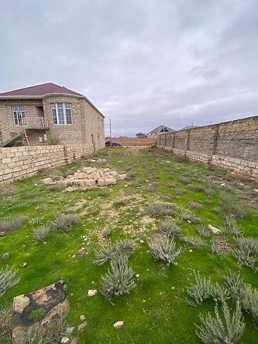 baxca: 3 sot, Tikinti, Barter mümkündür, Bələdiyyə — 2