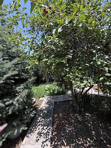 Продажа коттеджей и домов: 4 комнаты, 130 м², 7 соток, Кант, Собственник — 28