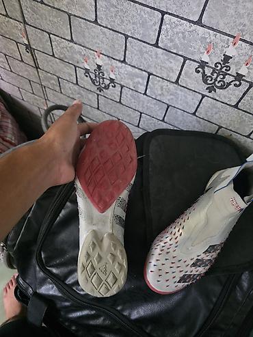 Бутсы: Футбольные бутсы/сороконожки adidas Predator (без шнурков) - Серия — 1