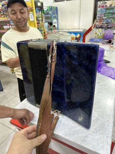мандолина купить: Аккордеон Hohner Carmen II в синем мраморном корпусе — это музыкальный