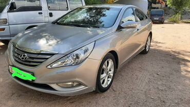 натуральный газон: Hyundai Sonata: 2010 г., 2 л, Автомат, Бензин, Седан