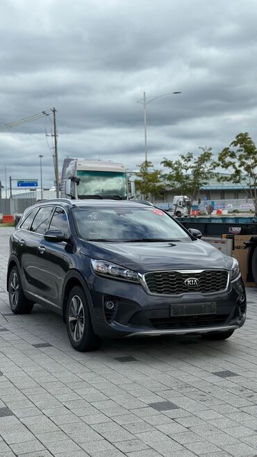 спрей скорая помощь: Kia Sorento: 2019 г., 2 л, Автомат, Дизель, Внедорожник