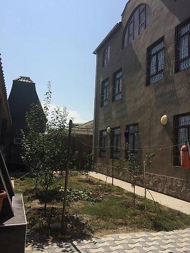 tap.az sirvan evleri: 9 otaq, 480 kv. m, Kredit yoxdur, Yeni təmirli — 3