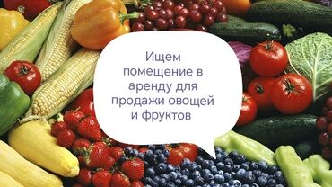 офис в бизнес центре: Сдаю Павильон, 20 м², С ремонтом, Частично с оборудованием, Электричество