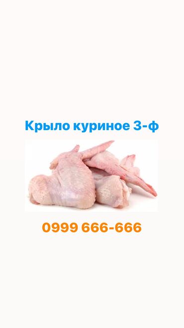Мясо, рыба, птица: Мясо курицы Крыло куриное 3 х фаланговое Реализуем куриную
