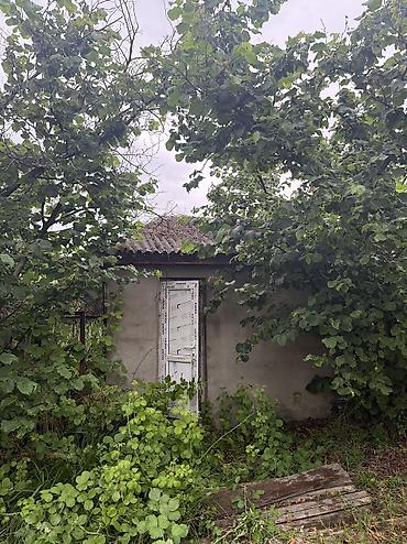 anbar satışı: Xaçmaz, 3000 kv. m, 3 otaqlı, Artezian quyusu, İşıq, Kanalizasiya — 10