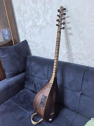 Milli musiqi alətləri: Elektro saz – ağac gövdəli, uzun saplı xalq çalğı aləti - Korpus — 2