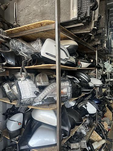 Амортизаторы, пневмобаллоны: Передний амортизатор Renault Оригинал — 12