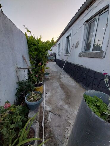 Həyət evləri və villaların satışı: 3 otaqlı, 100 kv. m, Kredit yoxdur, Yeni təmirli — 13