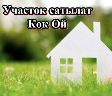 продается орошаемая земля в жайылско районе алтыр будёновка 5 40 гектар цена договорная с довой проблем нету оформление сразу: 4 соток, Для строительства, Красная книга