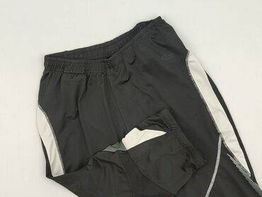 koszulka z gołębiem allegro: Pro Touch, Штани 3/4 для чоловіків, розмір 2XL