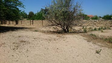 Torpaq sahələrinin satışı: 25 sot, Tikinti, Makler, Kupça (Çıxarış) -da lalafo.az — 2 Torpaq sahələrinin satışı: 25 sot, Tikinti, Makler, Kupça (Çıxarış) — 2