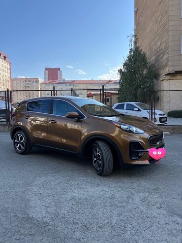 Kia: Kia Sportage: 2019 г., 2.4 л, Автомат, Бензин, Кроссовер