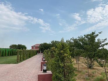 şəhər bağları: Digah, 500 kv. m, 9 otaq, Hovuzlu, Artezian quyusu, Kanalizasiya, Kombi — 6