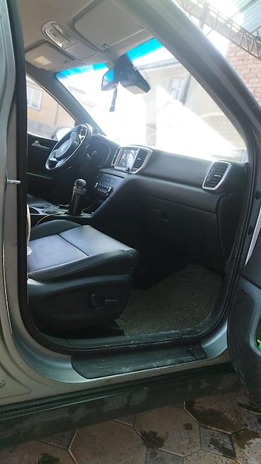 Kia: Kia Sportage: 2019 г., Кроссовер — 8