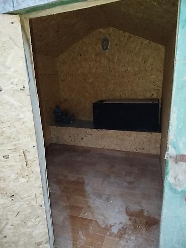 qefes type 1: Taxta/OSB materialdan yığılmış həyət üçün kiçik otaq tecılı satılır — 2