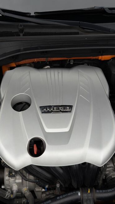 Kia: Kia K7: 2019 г., 2.4 л, Автомат, Гибрид, Седан — 12