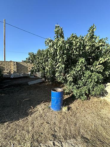 qəbələ torpaq: 4 sot, Tikinti, Maklerlər narahat etməsin, Kupça (Çıxarış) — 4