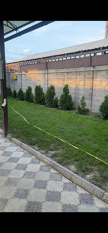 Продажа коттеджей и домов: Продается частный дом Адрес: Ж/М Арча-Бешик Площадь участка: 4,7 — 3