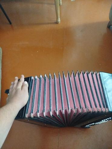 velosiped kameri: Bayandır tipli knopf akkordeon – “Sirius 205” - Korpus: qara korpus — 1