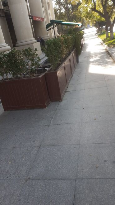 Gübrələr: Dibçək Taxta dekorativ dibçəklər və çiçək qutuları - Material