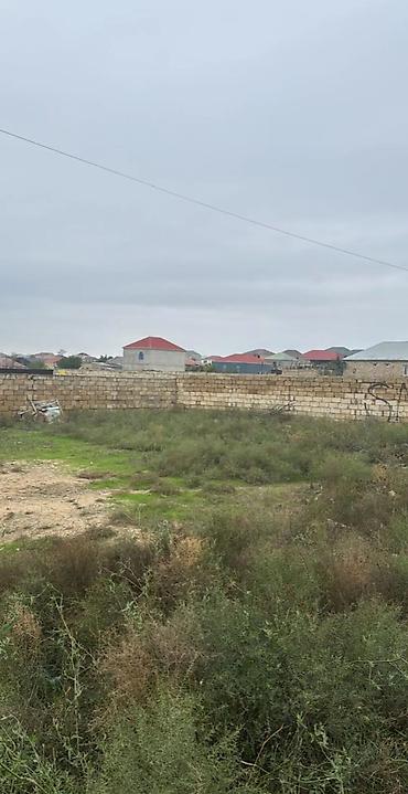 caravan satisi: Tikinti, Kupça (Çıxarış) — 7