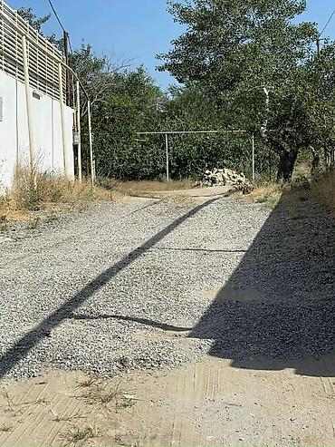 Torpaq: 12 sot, Tikinti, Mülkiyyətçi, Kupça (Çıxarış) — 8