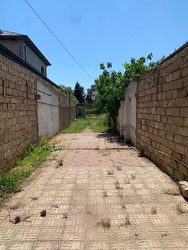 bulbule qesebesi: 5 sot, Tikinti, Makler, Kupça (Çıxarış) — 1