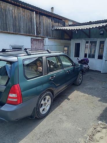 Транспорт: Subaru Forester: 2003 г., 2.5 л, Автомат, Газ, Кроссовер — 6