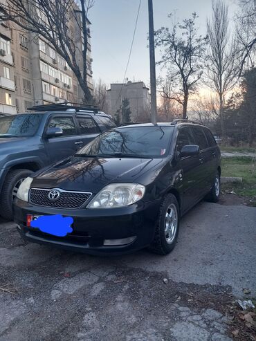 тойота королла универсал 2004: Toyota Corolla: 2004 г., 1.6 л, Механика, Бензин, Универсал