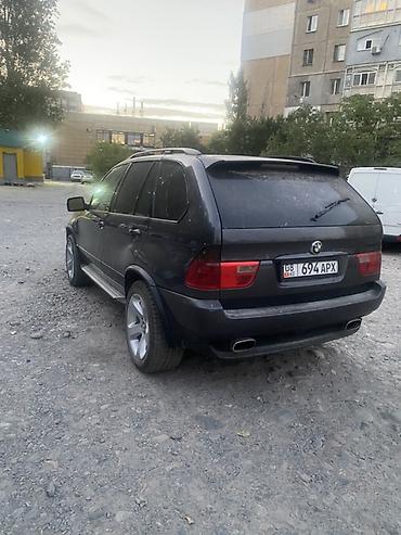 х5 2004: BMW X5: 2003 г., 4.4 л, Автомат, Бензин, Кроссовер — 1