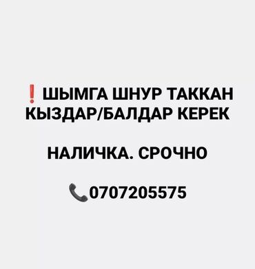 требуется музыканты: Пуговичница. Рабочий Городок