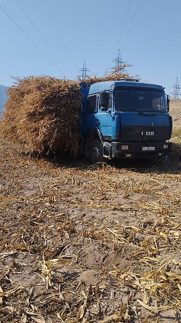 Грузовики: Грузовик, Iveco, Стандарт, Б/у — 9