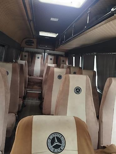 sprinter rex: Автобус, Mercedes-Benz — 2