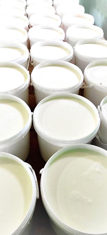 Digər xidmətlər: 8 kq vedrədə təbii süddən hazırlanmıs qatıq topdan satılır çatdırılma — 3