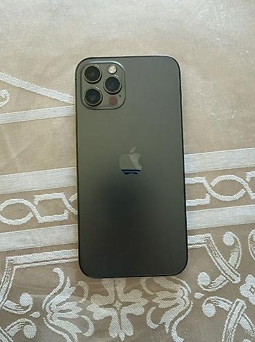 12 pro case: IPhone 12 Pro, Graphite, Face ID — 1