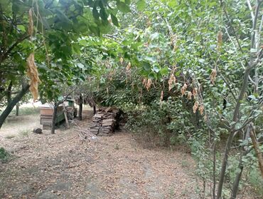 Həyət evləri və villaların satışı: 6 otaqlı, 130 kv. m, Kredit yoxdur, Yeni təmirli — 8