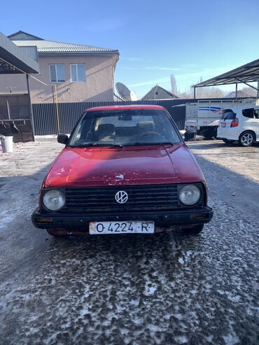 Volkswagen: Volkswagen Golf: 1991 г., 1.8 л, Механика, Бензин