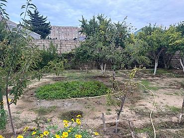 Bağ evlərinin satışı: SAHIBINDEN 🏡 ALBALILIQDA MÖHTƏŞƏM BAĞ EVİ – HƏM YAŞAYIŞ, HƏM DƏ — 19