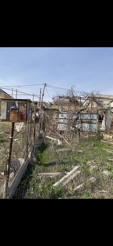 Torpaq sahələrinin satışı: 3 sot, Mülkiyyətçi, Bələdiyyə — 2