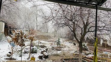 Продажа коттеджей и домов: Продаётся уютный, полностью готовый к проживанию дом в черте города — — 23