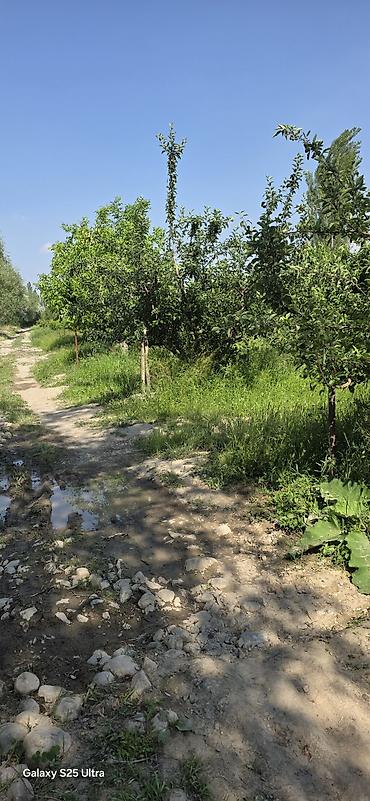 кен сай пост: 23 соток, Действующий, Без оборудования, Холодная вода — 4