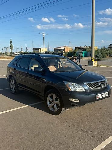 10 лет в одних руках: Lexus RX: 2003 г., 3.3 л, Автомат, Газ, Кроссовер — 10