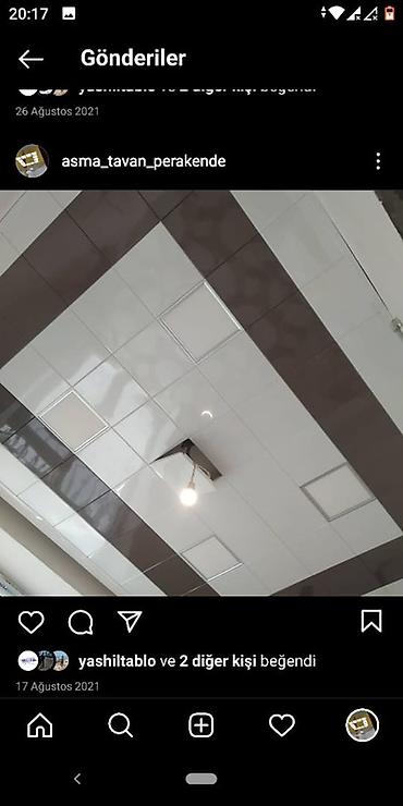 Asma tavanlar: Asma tavan, Orqsteklo, Suyadavamlı — 21