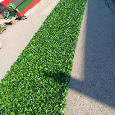 Kovrolin: Kovrolin — 21